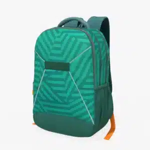 Classic Backpack 3D Model
