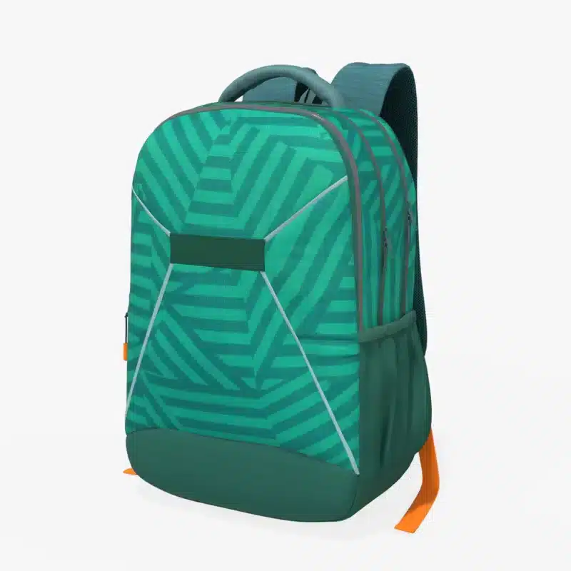 Classic Backpack 3D Model
