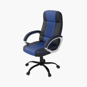 Two-Tone Executive Office Chair